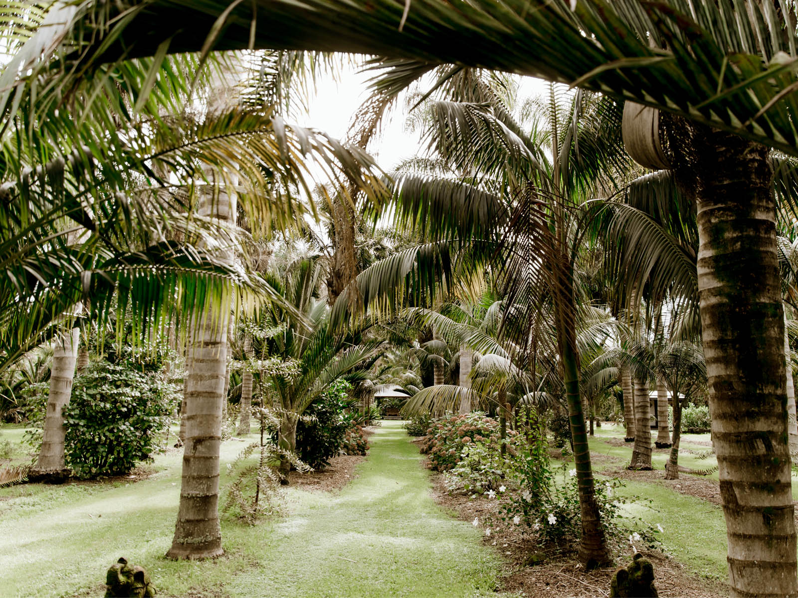 AUCKLAND (Matakana):  Saturday 8th June